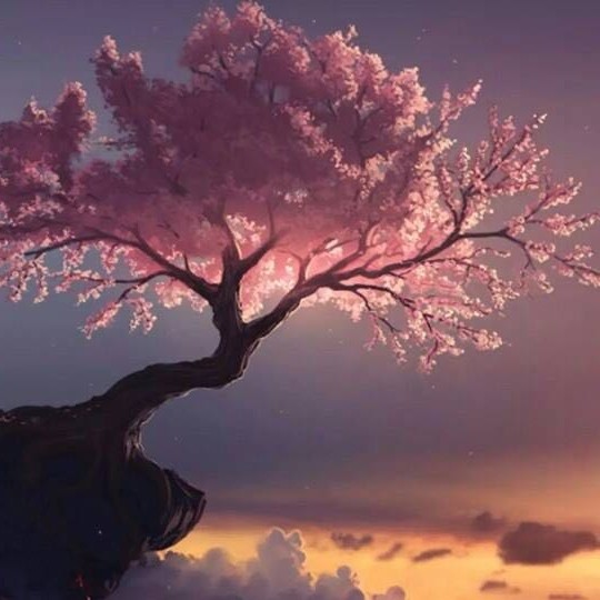 情感