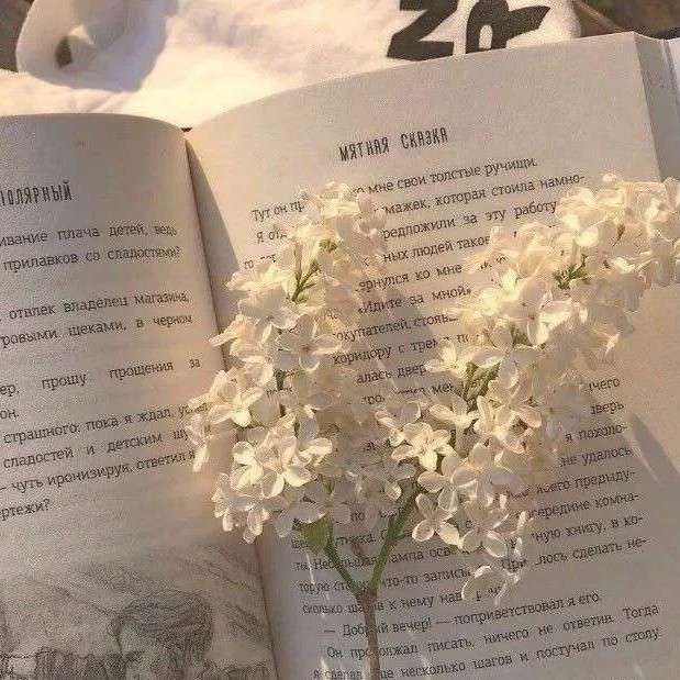 彩虹枕风息的专辑