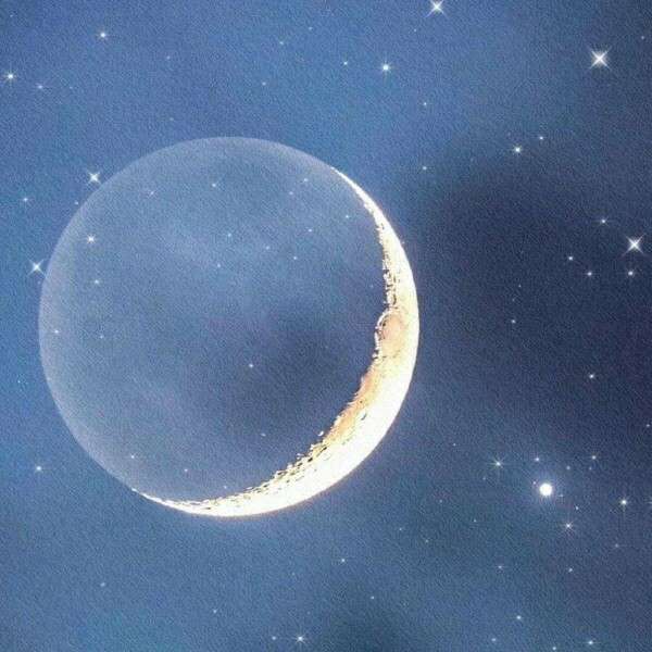 折桃枝的专辑