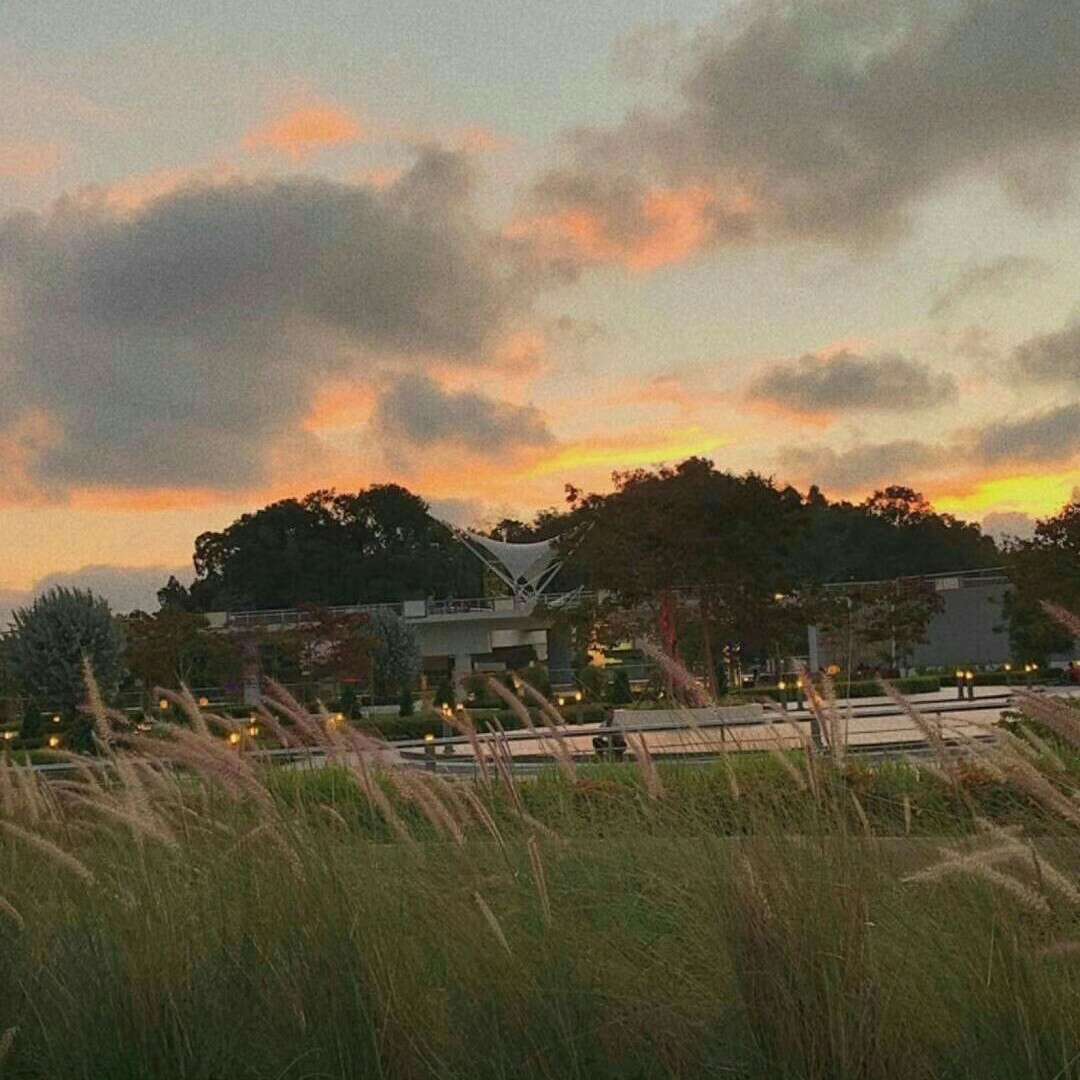 流浪的星星~