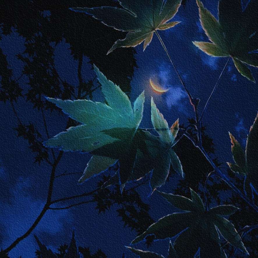 生活
