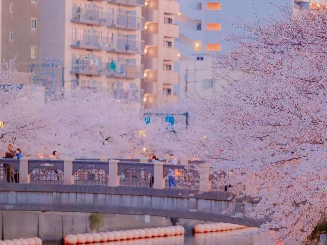 一眼惊艳岁月静好的句子
