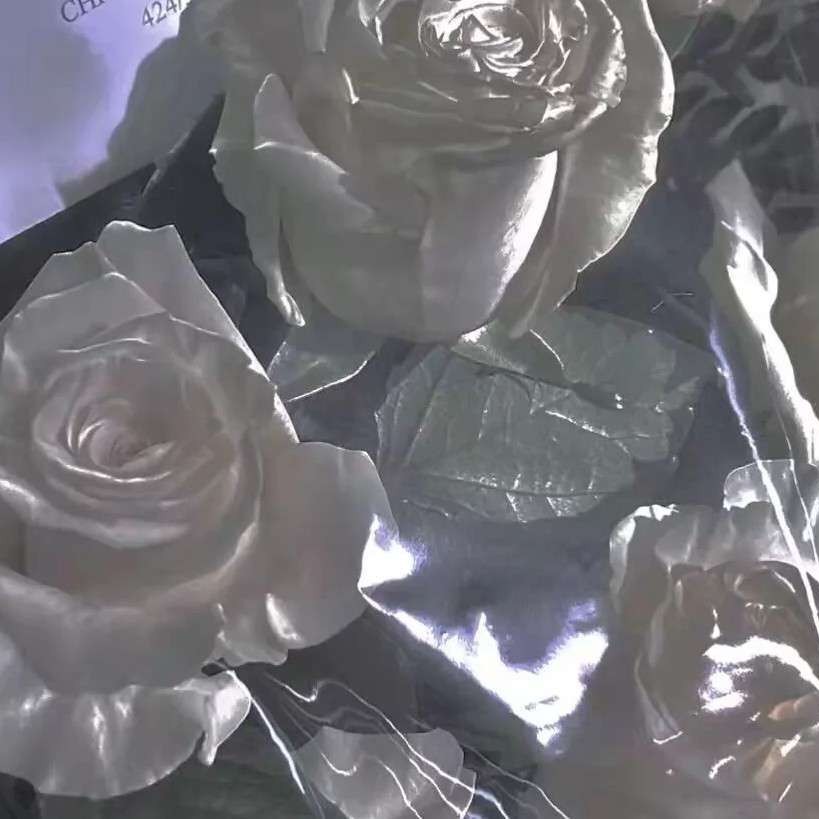云升的专辑