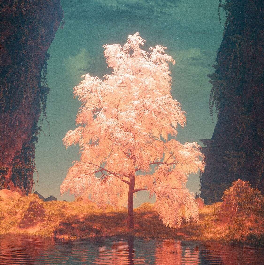 唯美