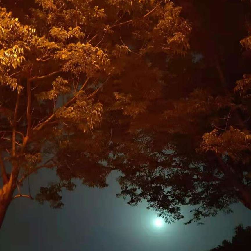 晴天