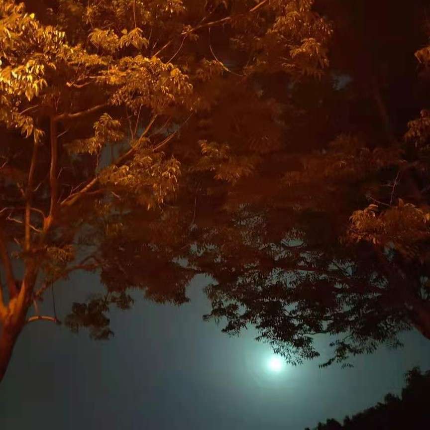 花海
