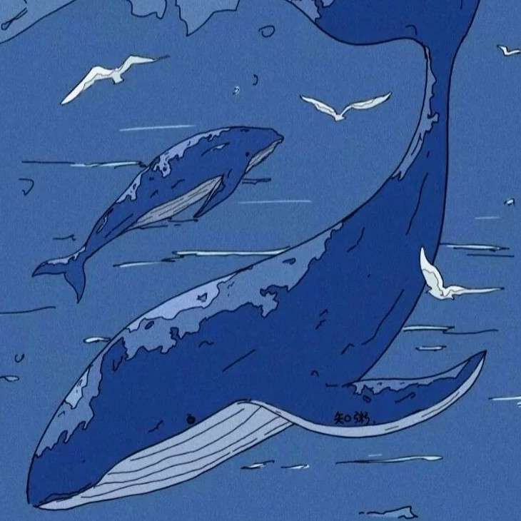 My星座