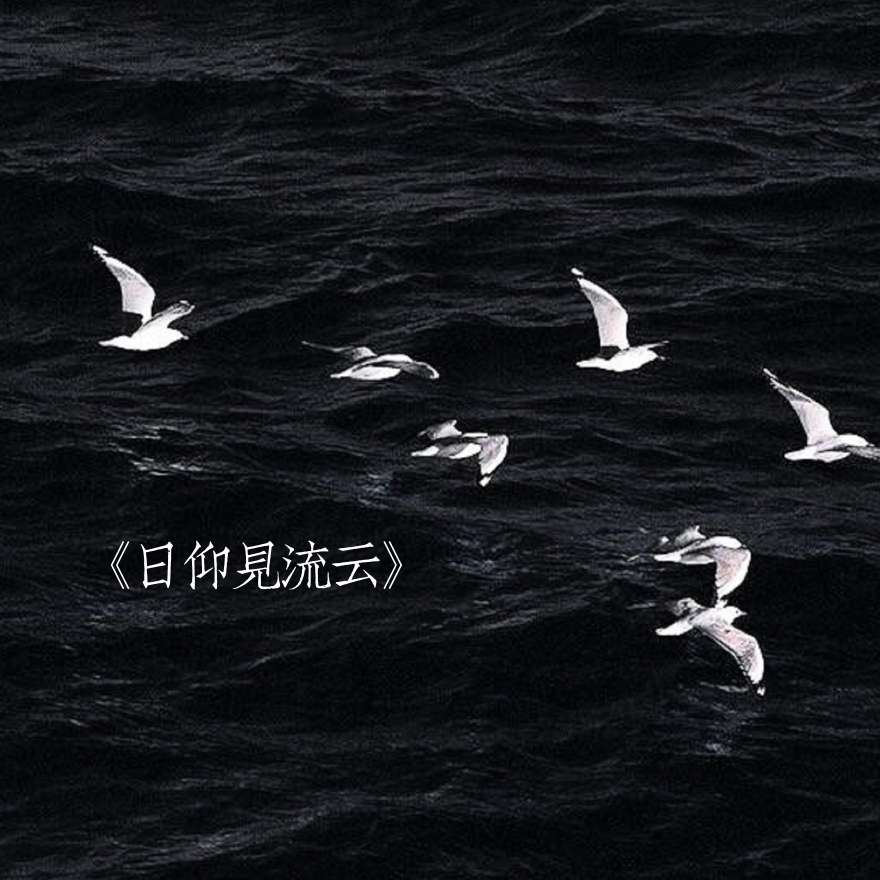 《日仰见流云》