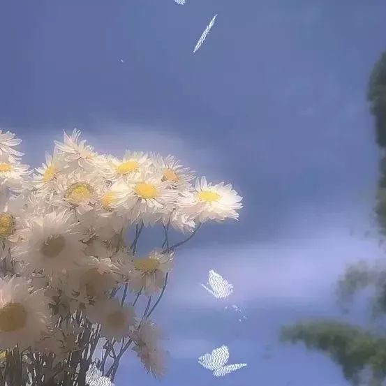 句点