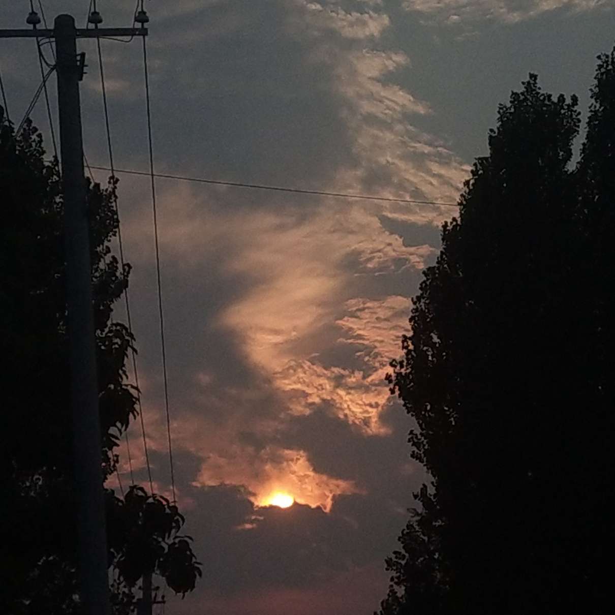 最后一束花
