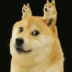常看