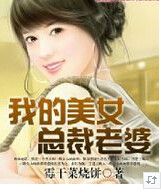 《我的美女总裁老婆》