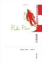 《微暗的火》