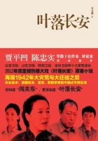 《叶落长安》