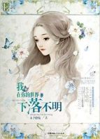 《我在你的世界下落不明》