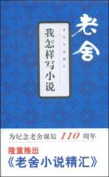《我怎样写小说》