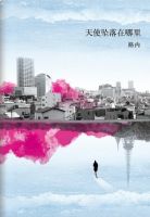 《天使坠落在哪里》