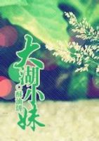 《大湖小妹》