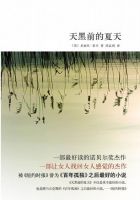 《天黑前的夏天》
