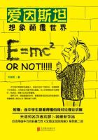 《爱因斯坦：想象颠覆世界》