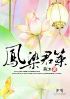 《凤染君策》