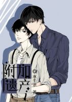 《附加遗产》