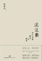《流浪集》