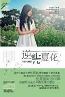 《逆光夏花》