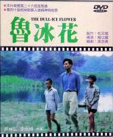 《鲁冰花》
