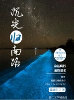 《沉光归南路》