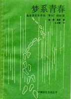 《梦系青春》