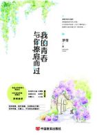 《我的青春与你擦肩而过》