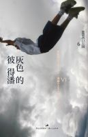 《灰色的彼得潘》
