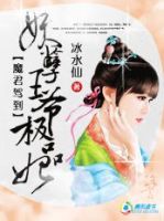 《魔君驾到：妖孽魏爷极品妃》