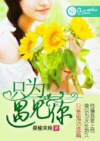 《只为遇见你》