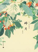 《碎片》