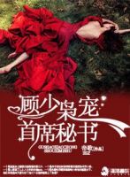 《顾少枭宠首席秘书》