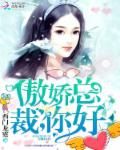 《傲娇总裁，你好！》