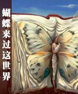 《蝴蝶来过这世界》
