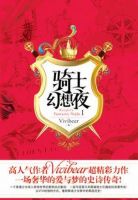 《骑士幻想夜》