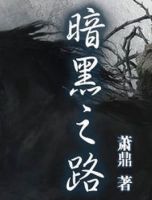 《暗黑之路》