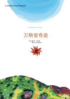 《万物皆奇迹》