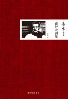 《南腔北调集》