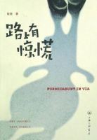 《路上有惊慌》