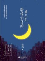 《看不见爱情的房间》