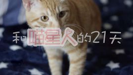《和喵星人的21天》