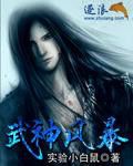 《武神风暴》
