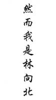 《然而我是林向北》