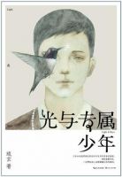 《光与专属少年》