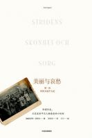 《美丽与哀愁：第一次世界大战个人史》